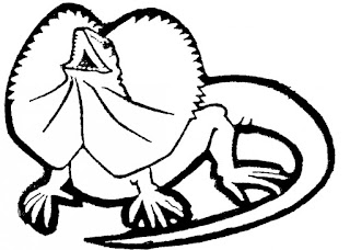 Images Of Best Of Lizard Coloring Sheet