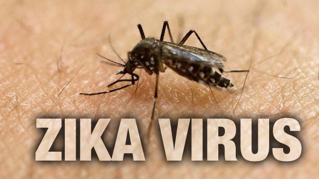 REZQEEN HILL: [Video] Kenali Virus Zika #Kongsi