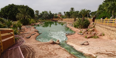 El Crocopark de Agadir.