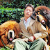 World's most expensive dog worth £1.2million Tibetan mastiff puppy 