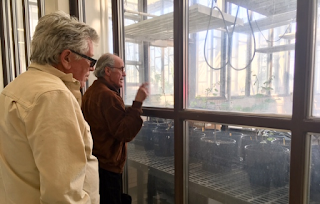 Two men looking out a window at the cultivation of vines 