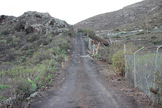 PR-TF-11 LA PUNTA DEL HIDALGO A LA CRUZ DEL CARMEN, camino de Homicián a la afueras de La Punta del Hidalgo