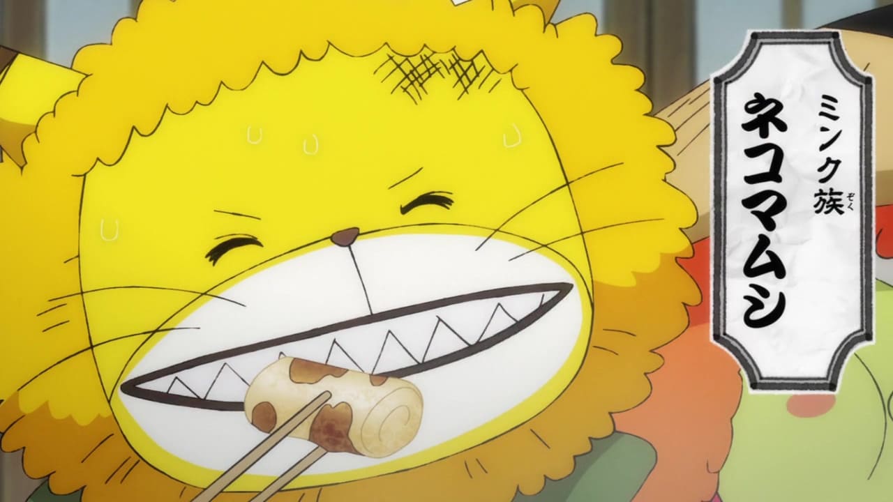 One Piece 赤鞘九人男メンバー一覧 Nine Red Scabbards One Piece 赤鞘九人男メンバー一覧 Nine Red Scabbards