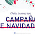 Empleo campaña de Navidad 2019 (II)