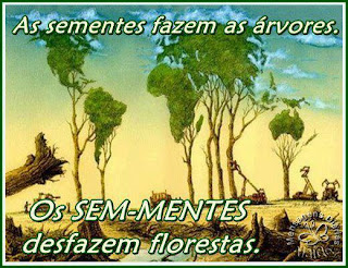 Sem Mentes