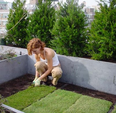 Gardening Advice on 66 Square Feet  Garden Designer