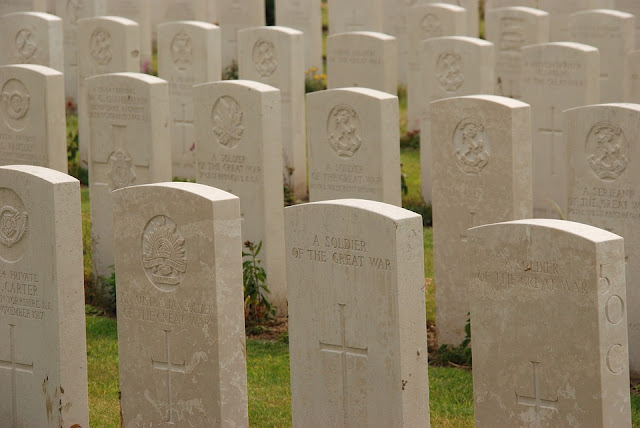  Red Poppies of Flanders Fields