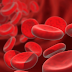 Blood Borne Pathogens - 7 Important Duties Of Employers