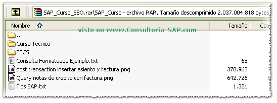 Captura de pantalla del Curso SAP Business One