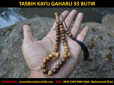 Harga Kayu Gaharu