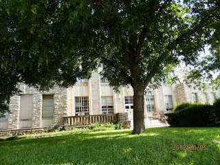 Grassy area in the shade under a larger tree 