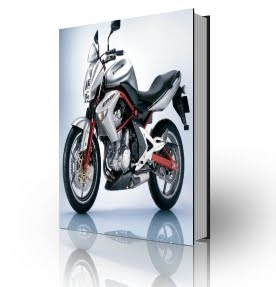 Kawasaki ER-6N -  ER-6F Service Manual