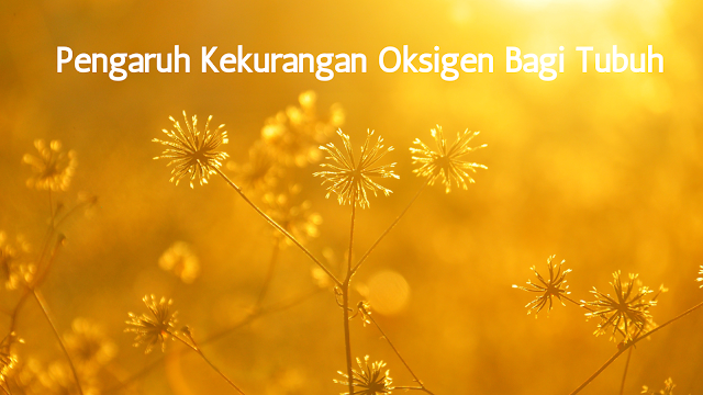 pengaruh kekurangan oksigen bagi tubuh, blogger health, manfaat oksigen bagi kesehatan, keseharian dan kesehatan keluarga Indonesia