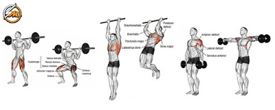 Building Mass with 5x5 Training