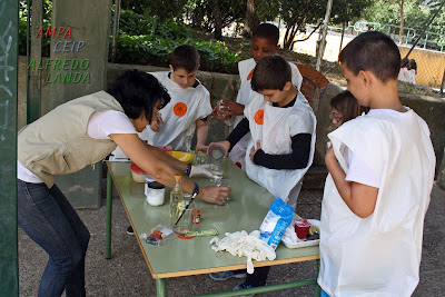 Taller de Experimentos -Ampa Ceip Alfredo Landa