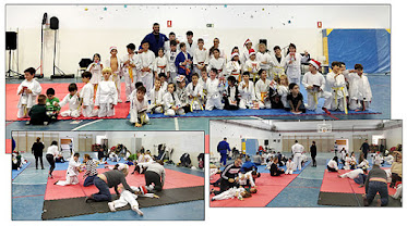 Judo Aranjuez Angel Parra