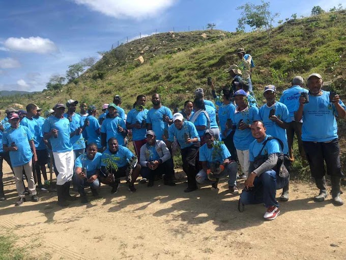 LICENCIADO PEDRO GONZALEZ MATEO ESTÁ PROMOVIENDO LA SIEMBRA DE 30,000 ÁRBOLES EN VALLEJUELO; PIDE APOYO DE LAS AUTORIDADES MEDIOAMBIENTALES Y TODA LA SOCIEDAD