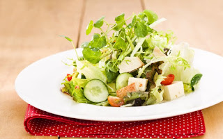 salada light