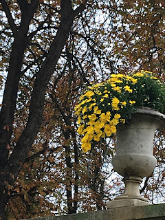 Planter pot déco in Tuileries of Paris