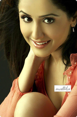 South Indian Sizzling Actress - Mallika