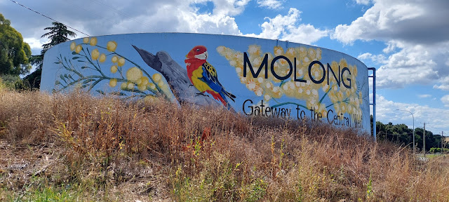 Molong Painted Water Tank by Michael Crook & Ricky Ah-see