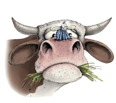 Gif vaca