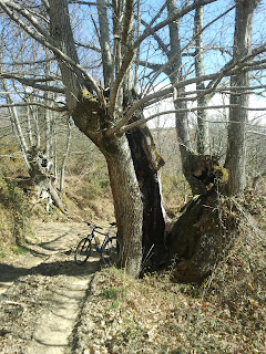 BttVerín, Carnavales, Castrelo do Val, Fontefría, Laza, Ourense, Peña Nofre, Ruta dos Carboeiros, Verín Mtb Btt