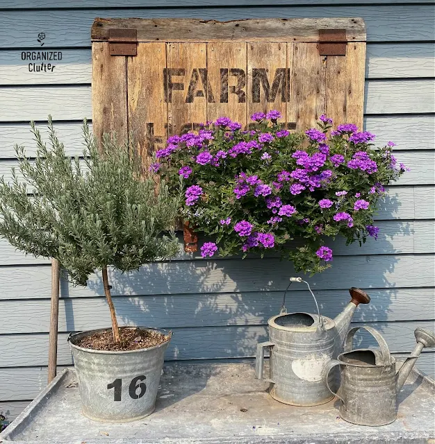 Photo of a junk garden vignette.