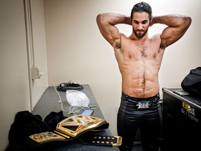 The Shield (WWE) images Seth Rollins HD wallpaper and background 