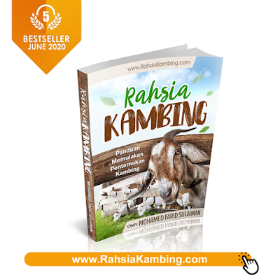 Rahsia Kambing