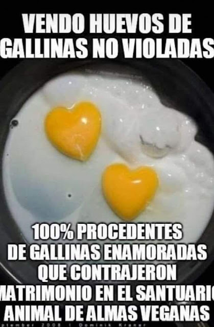 Vendo huevos de gallinas no violadas