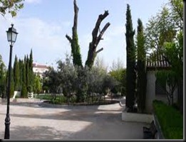 encina de la zubia