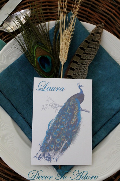 peacock 087