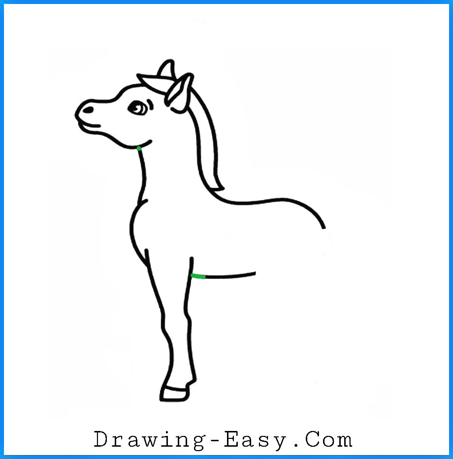 How to draw a Baby Horse | Step By Steps Baby Horse Drawing For Kids