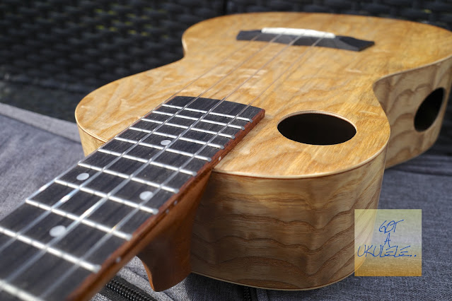 Snail UKC-470 Concert Ukulele finish