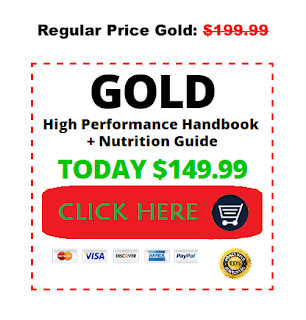 High Performance Handbook gold