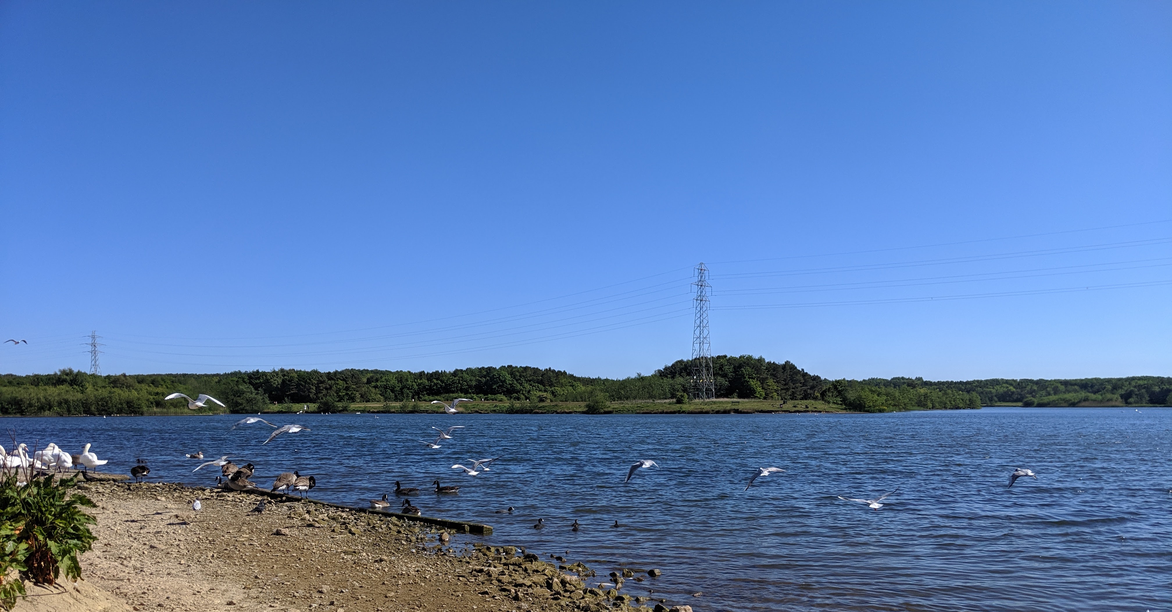 Queen Elizabeth II Country park walk