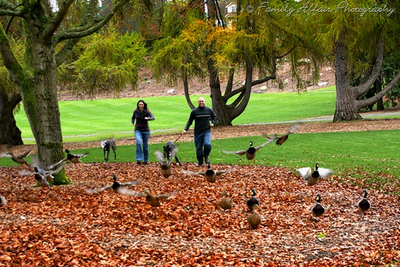 family affair photography
