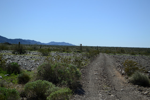 a couple ruts through the desert