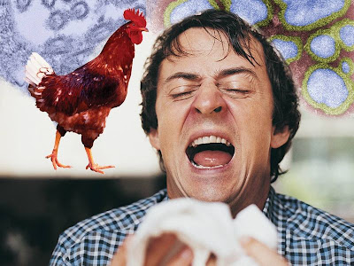 The Symptoms of Bird Flu