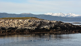 Ushuaia Beagle Canal cormorants