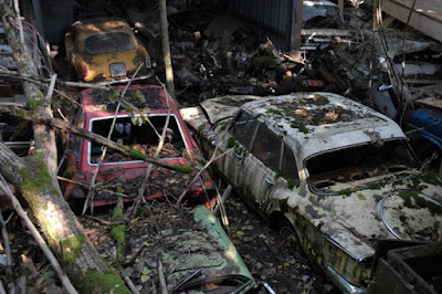 carros antigos abandonados em fazendas