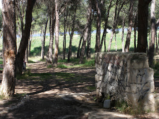 pinares de Venecia Torrero Zaragoza