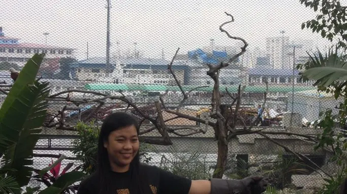 A volunteer guest waiting for a bird to do its tricks at Manila Ocean Park