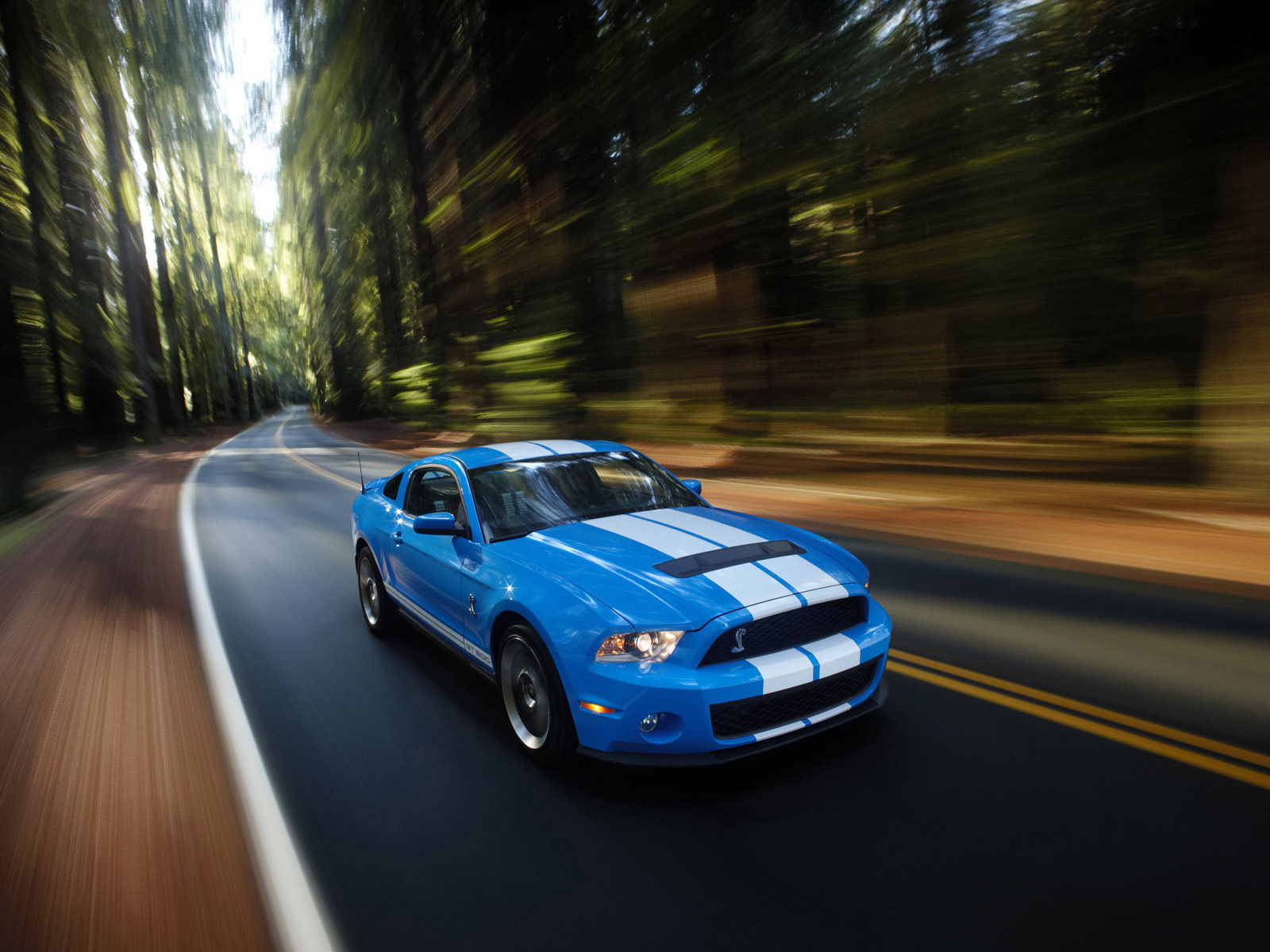  Gambar  mobil  FORD Mustang Shelby GT500 2010