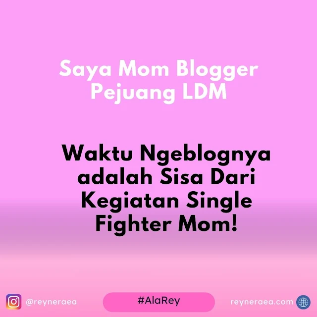 saya mom blogger pejuang ldm