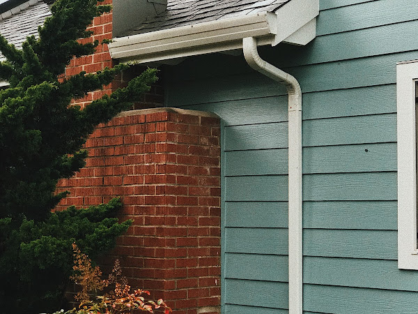 Do Gutter Guards Work to Protect Gutters from Pine Needles?