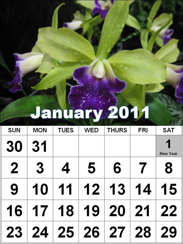 singapore 2011 calendar with public holidays.  Singapore calendar 2011 with Public Holidays for yourself or your 