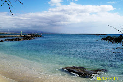 Safe Harbor
