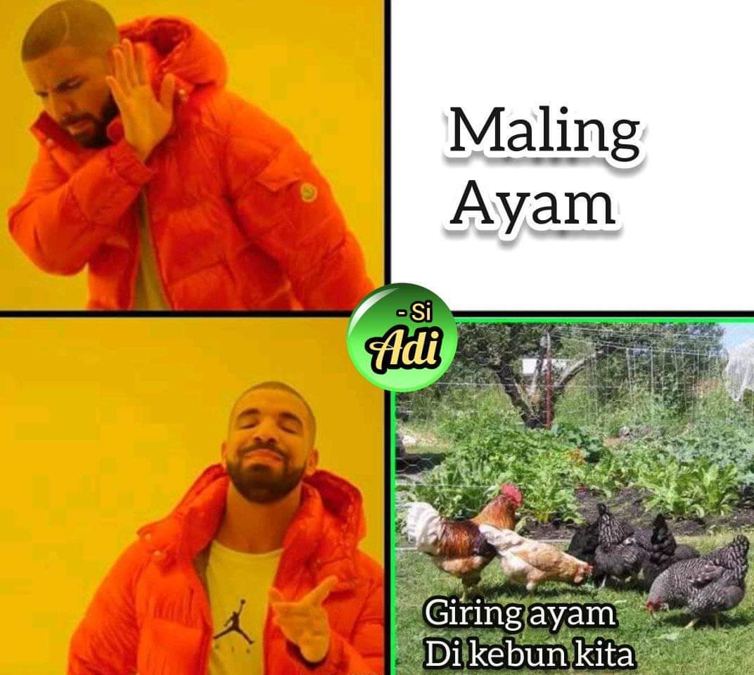 Kumpulan Foto Meme Lucu Ayam Pasal Ruu Kuhp Ini Bikin Ngakak